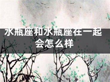 水瓶座和水瓶座在一起会怎么样