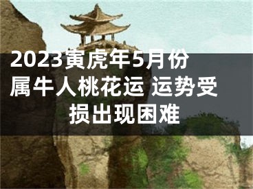 2023寅虎年5月份属牛人桃花运 运势受损出现困难