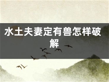 水土夫妻定有兽怎样破解