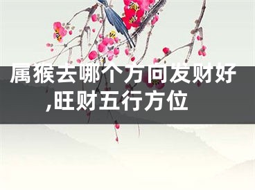 属猴去哪个方向发财好,旺财五行方位