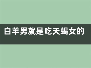 白羊男就是吃天蝎女的