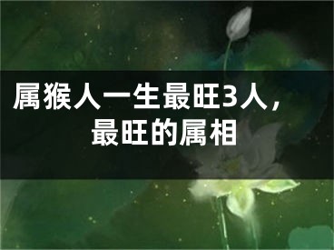 属猴人一生最旺3人，最旺的属相