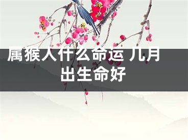 属猴人什么命运 几月出生命好