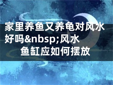 家里养鱼又养龟对风水好吗&nbsp;风水鱼缸应如何摆放