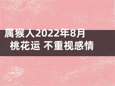 属猴人2022年8月桃花运 不重视感情
