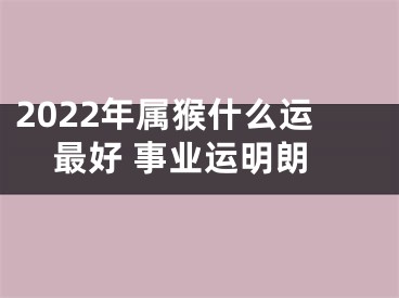 2022年属猴什么运最好 事业运明朗