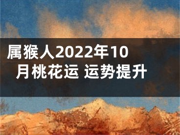 属猴人2022年10月桃花运 运势提升