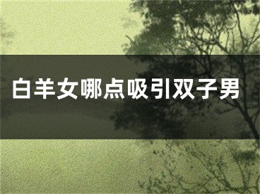 白羊女哪点吸引双子男