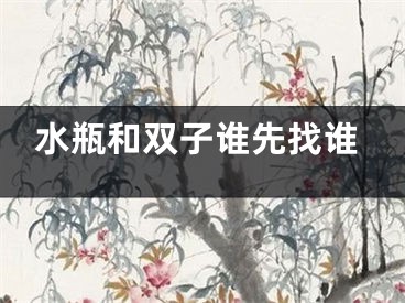 水瓶和双子谁先找谁
