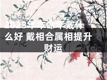 2023年本命年戴什么好 戴相合属相提升财运