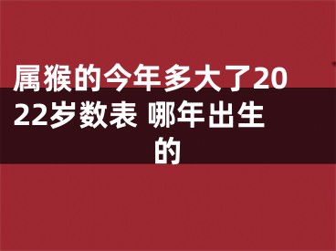 属猴的今年多大了2022岁数表 哪年出生的
