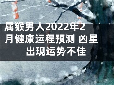 属猴男人2022年2月健康运程预测 凶星出现运势不佳