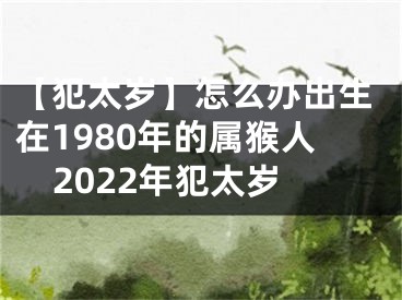 【犯太岁】怎么办出生在1980年的属猴人2022年犯太岁