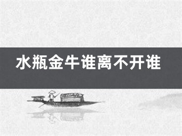 水瓶金牛谁离不开谁