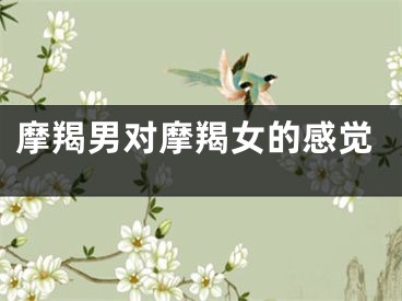 摩羯男对摩羯女的感觉