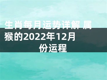 生肖每月运势详解 属猴的2022年12月份运程