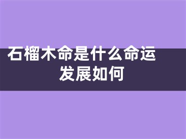石榴木命是什么命运 发展如何