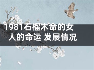 1981石榴木命的女人的命运 发展情况
