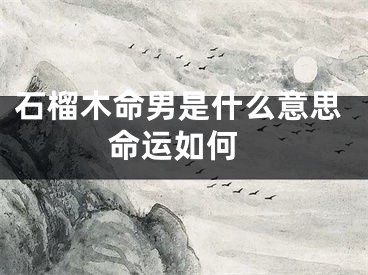 石榴木命男是什么意思 命运如何