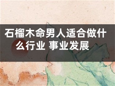 石榴木命男人适合做什么行业 事业发展