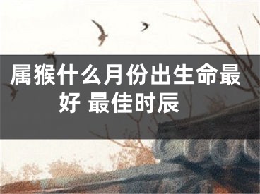 属猴什么月份出生命最好 最佳时辰