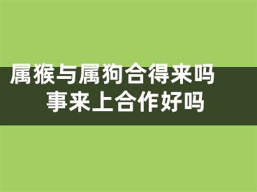 属猴与属狗合得来吗 事来上合作好吗