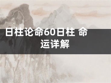 日柱论命60日柱 命运详解