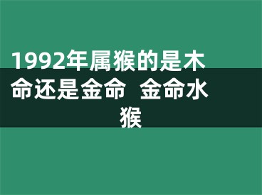 1992年属猴的是木命还是金命  金命水猴