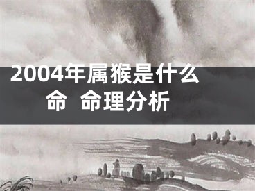 2004年属猴是什么命  命理分析