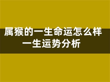 属猴的一生命运怎么样 一生运势分析