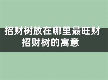 招财树放在哪里最旺财 招财树的寓意