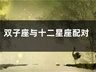 双子座与十二星座配对