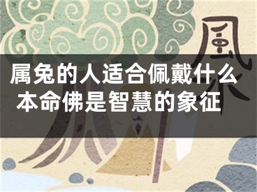 属兔的人适合佩戴什么 本命佛是智慧的象征