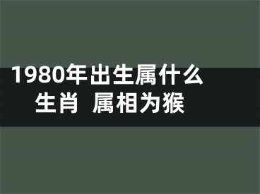 1980年出生属什么生肖  属相为猴