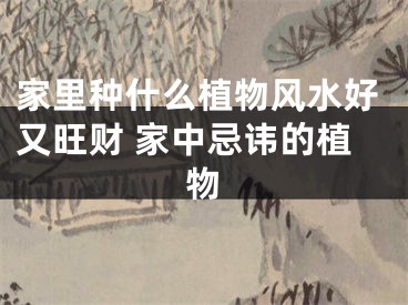 家里种什么植物风水好又旺财 家中忌讳的植物