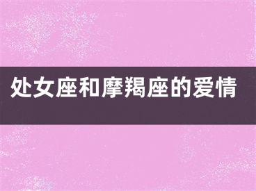 处女座和摩羯座的爱情
