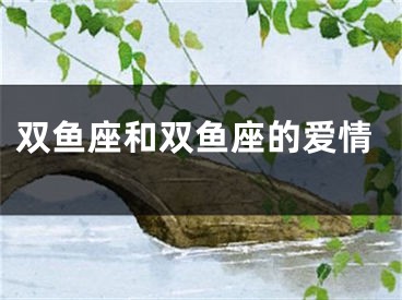 双鱼座和双鱼座的爱情