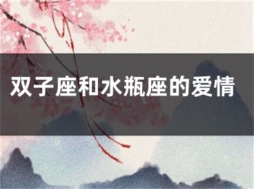 双子座和水瓶座的爱情