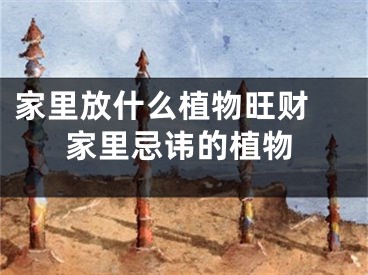 家里放什么植物旺财 家里忌讳的植物