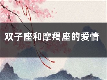 双子座和摩羯座的爱情