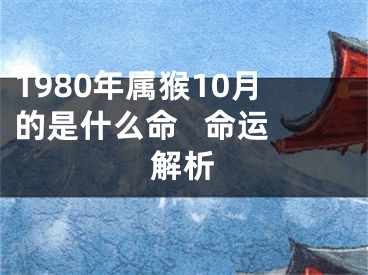 1980年属猴10月的是什么命   命运解析