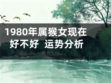 1980年属猴女现在好不好  运势分析