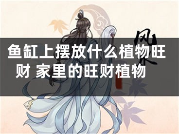 鱼缸上摆放什么植物旺财 家里的旺财植物