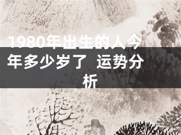 1980年出生的人今年多少岁了  运势分析