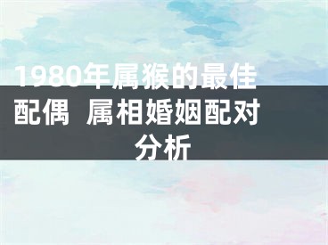 1980年属猴的最佳配偶  属相婚姻配对分析