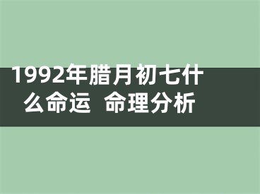 1992年腊月初七什么命运  命理分析