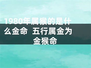 1980年属猴的是什么金命  五行属金为金猴命