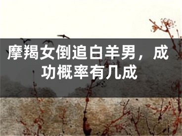 摩羯女倒追白羊男，成功概率有几成