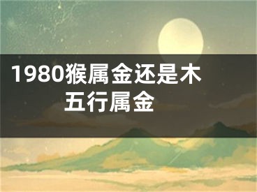 1980猴属金还是木   五行属金