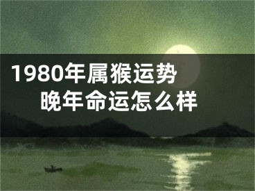 1980年属猴运势  晚年命运怎么样